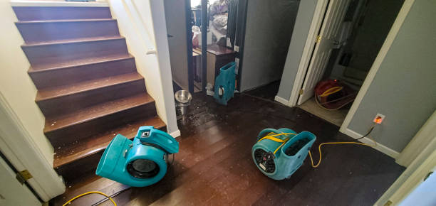 Best 24-hour water damage restoration  in Rockvale, TN