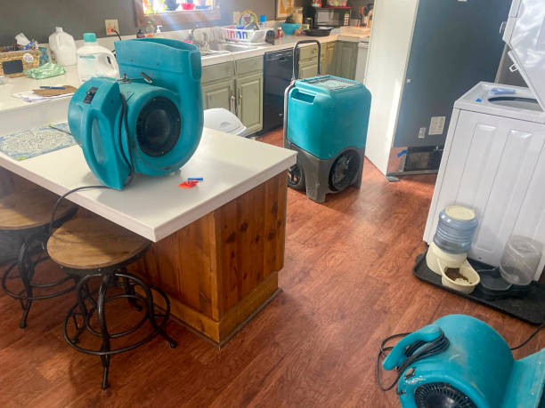 Best Residential water damage restoration  in Rockvale, TN