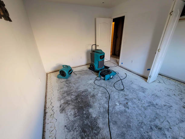 Best Residential water damage restoration  in Rockvale, TN
