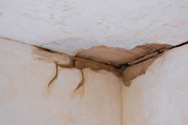 Best Water damage contractors near me  in Rockvale, TN