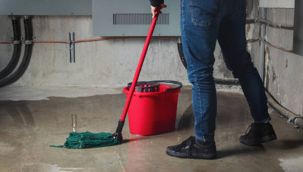 Best Water damage restoration services  in Rockvale, TN