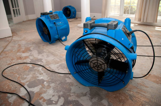 Best Water damage contractors near me  in Rockvale, TN