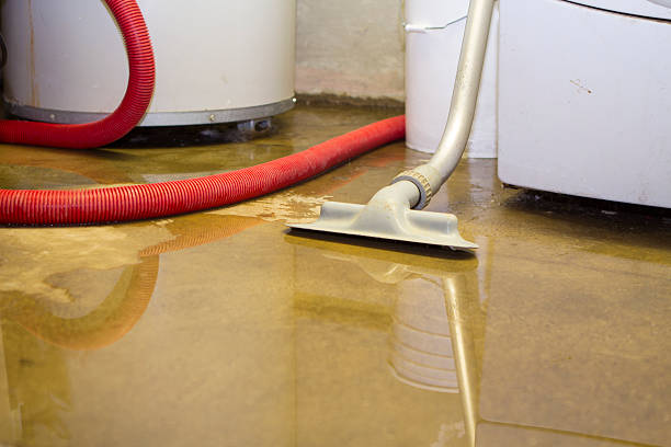 Best Water damage restoration near me  in Rockvale, TN