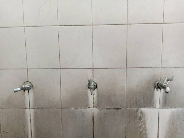 Best Carpet water damage restoration  in Rockvale, TN
