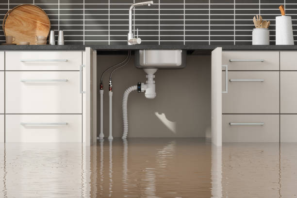 Best Ceiling water damage repair  in Rockvale, TN
