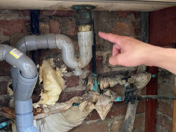Best Water damage restoration near me  in Rockvale, TN
