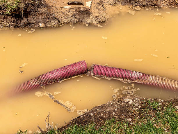 Best Water damage restoration near me  in Rockvale, TN