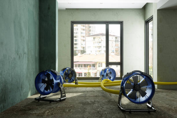 Best Flood restoration services  in Rockvale, TN